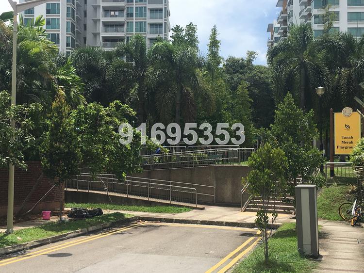 Siew Lim Park (D16), Semi-Detached #154662262